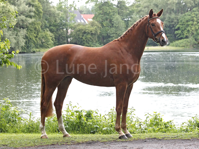 Mettet Foto © Lune Jancke